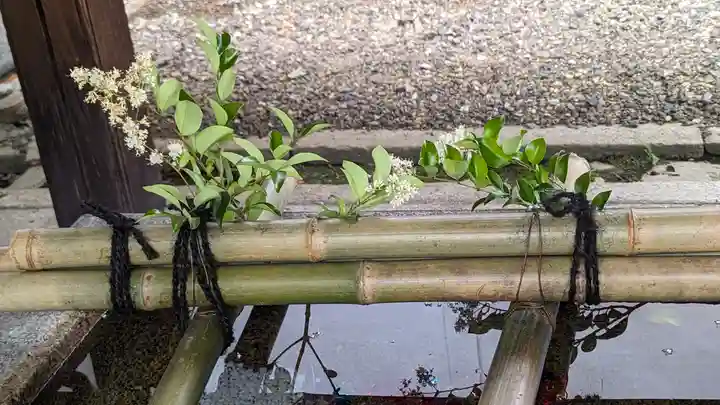 行願寺(革堂)(京都府)