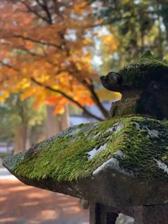 北口本宮冨士浅間神社の景色