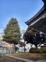 浅間神社の鳥居