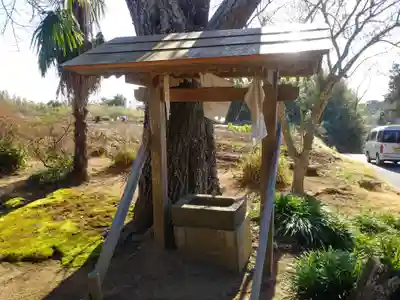 駒込観音堂の手水舎