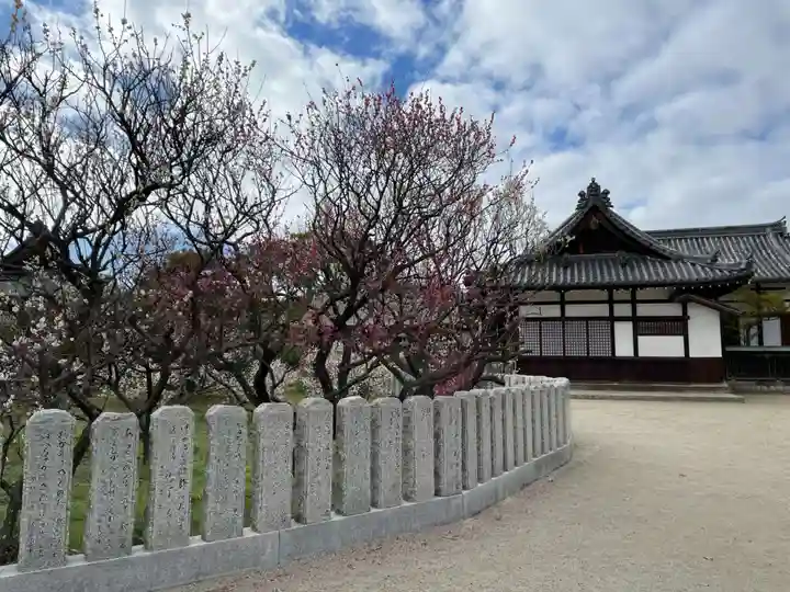 曽根天満宮(兵庫県)