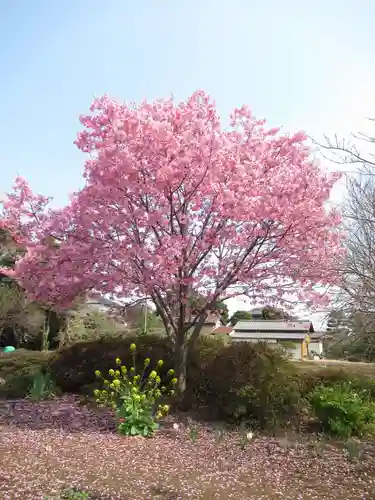 真光寺(千葉県)