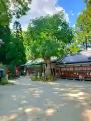 葛城一言主神社(奈良県)