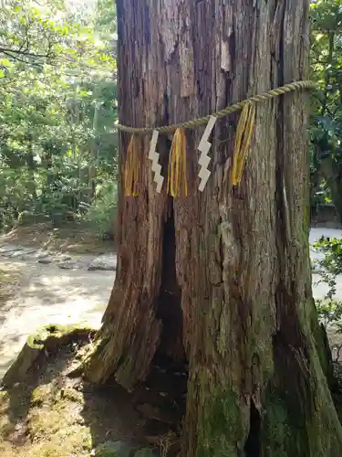 惣社白山神社の自然