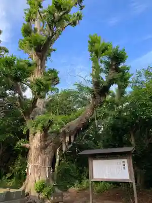 鎌数伊勢大神宮(千葉県)