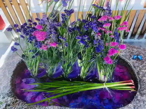 別小江神社の手水舎