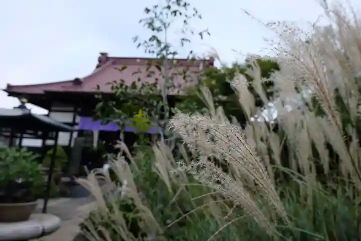 常泉寺(神奈川県)