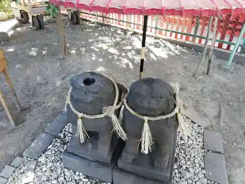 浅草神社の狛犬