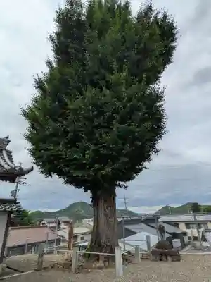 永昌寺(岐阜県)