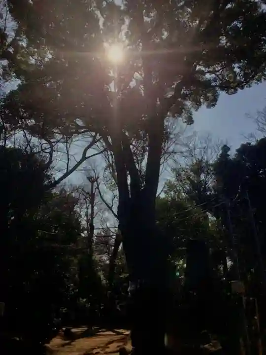 代々木八幡宮(東京都)