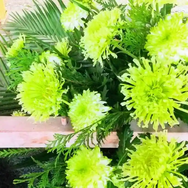 彌彦神社 (伊夜日子神社)の手水舎