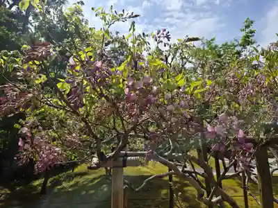 歌泉堂（春日大社神苑萬葉植物園内鎮座）(奈良県)