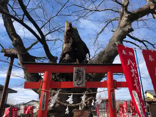 秩父今宮神社のその他建物