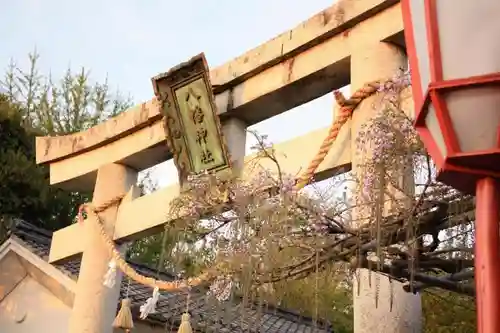 在士八幡神社の鳥居