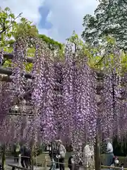 平等院(京都府)