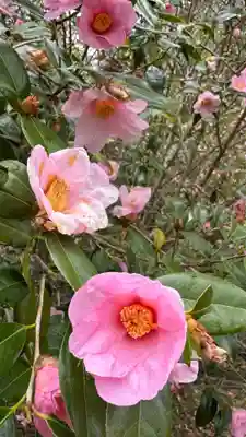 和氣神社（和気神社）(岡山県)