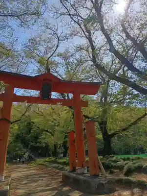 東蕗田天満社の{uncategorized: "未分類", other: "その他", undefined: "問題あり", building: "その他建物", grave: "お墓", sacred_gate: "鳥居", guardian: "狛犬", statue: "像", buddha: "仏像", history: "歴史", nature: "自然", garden: "庭園", animal: "動物", pagoda: "塔", temizu: "手水舎", mountain_gate: "山門・神門", sanctuary: "本殿・本堂", subordinate: "末社・摂社", art: "芸術", scenery: "景色", jizo: "地蔵", ema: "絵馬", goshuin: "御朱印", omikuji: "おみくじ", items: "授与品その他", amulet: "お守り", goshuincho: "御朱印帳", eats: "食事", festival: "お祭り", votive_dance: "神楽", shichigosan: "七五三参", wedding: "結婚式", experience: "体験その他", initially: "初詣", around: "周辺", anti_infection: "感染症対策"}
