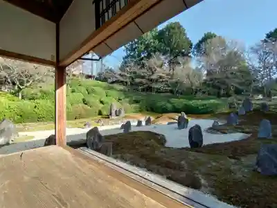 光明院（光明禅院）の{uncategorized: "未分類", other: "その他", undefined: "問題あり", building: "その他建物", grave: "お墓", sacred_gate: "鳥居", guardian: "狛犬", statue: "像", buddha: "仏像", history: "歴史", nature: "自然", garden: "庭園", animal: "動物", pagoda: "塔", temizu: "手水舎", mountain_gate: "山門・神門", sanctuary: "本殿・本堂", subordinate: "末社・摂社", art: "芸術", scenery: "景色", jizo: "地蔵", ema: "絵馬", goshuin: "御朱印", omikuji: "おみくじ", items: "授与品その他", amulet: "お守り", goshuincho: "御朱印帳", eats: "食事", festival: "お祭り", votive_dance: "神楽", shichigosan: "七五三参", wedding: "結婚式", experience: "体験その他", initially: "初詣", around: "周辺", anti_infection: "感染症対策"}