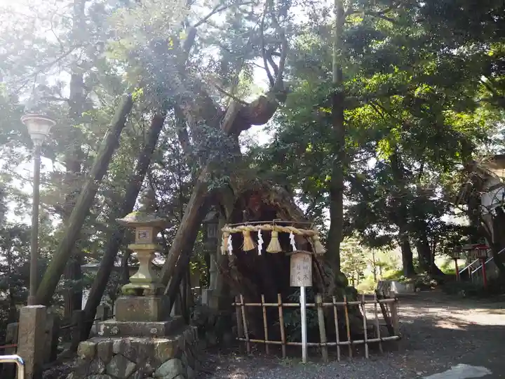 川尻八幡宮の自然