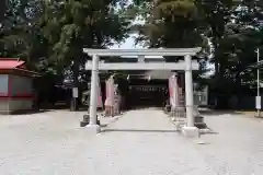 坂戸神社の鳥居