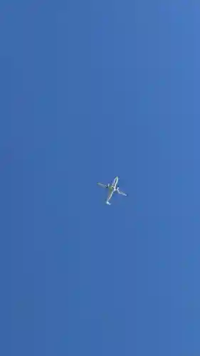 亀田龍神社(北海道)