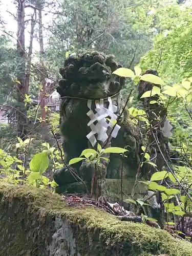 大嶽山那賀都神社の狛犬