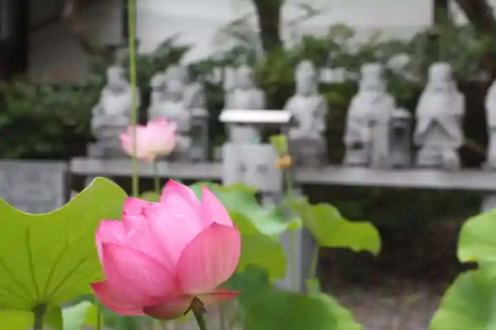 行願寺(革堂)(京都府)