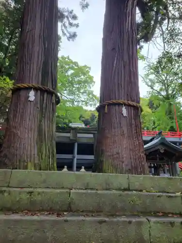 八幡朝見神社の自然