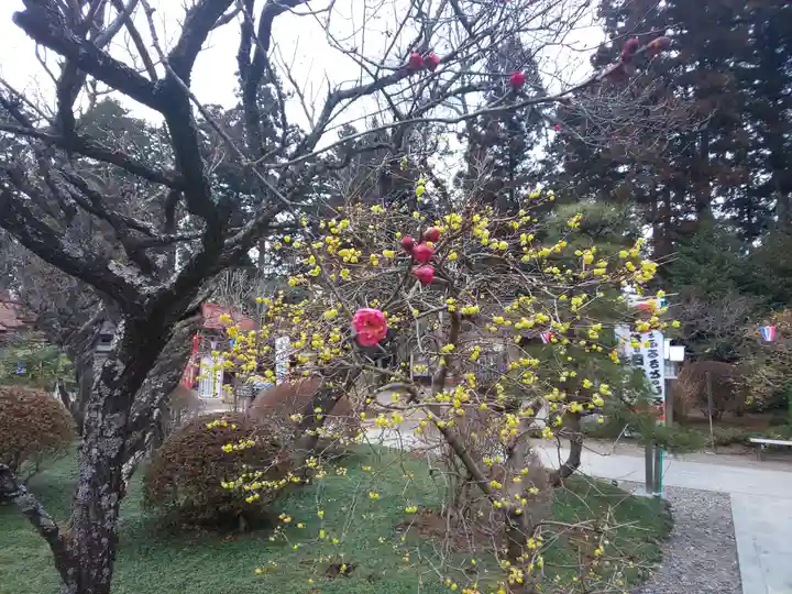 芳賀天満宮の自然