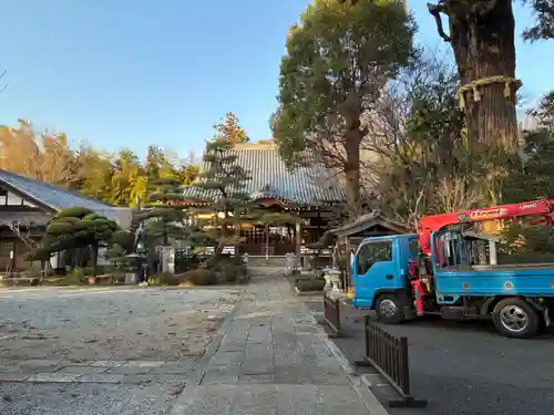 妙照寺(千葉県)