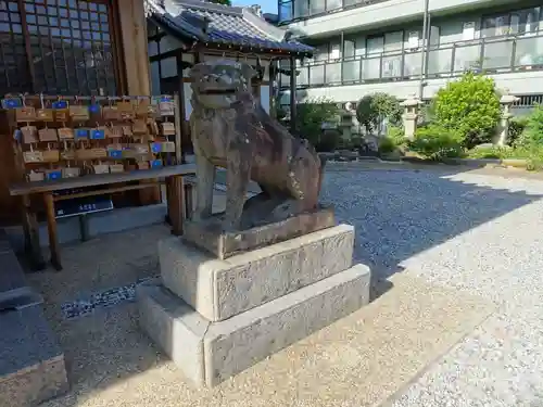 水堂須佐男神社の狛犬