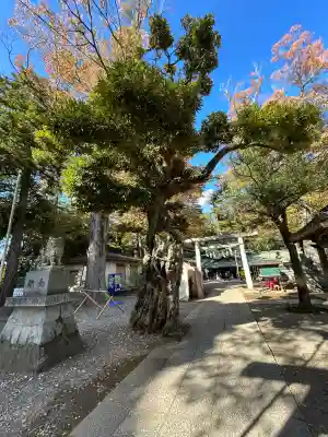 一言主神社(茨城県)