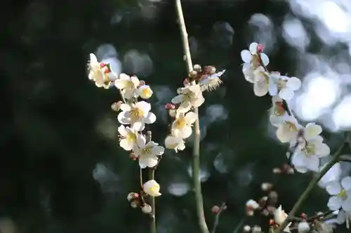 豊景神社の庭園