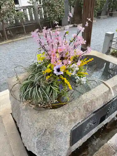 柏神社(千葉県)
