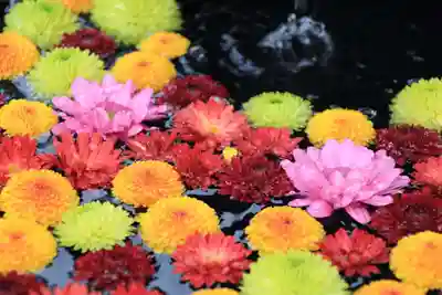 大鏑神社の手水舎
