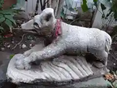 讃岐小白稲荷神社の狛犬