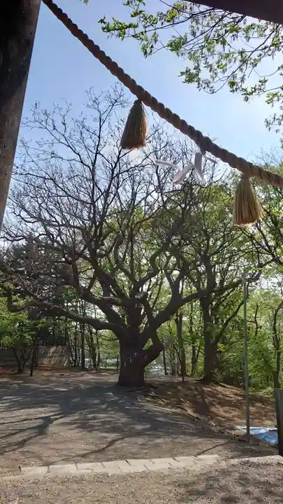 相馬神社(北海道)