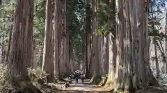 戸隠神社奥社(長野県)