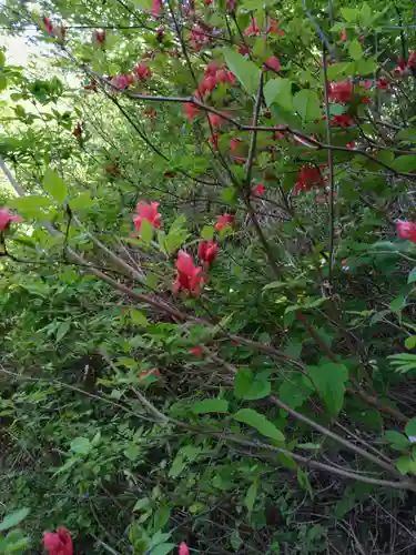 慈眼寺の庭園