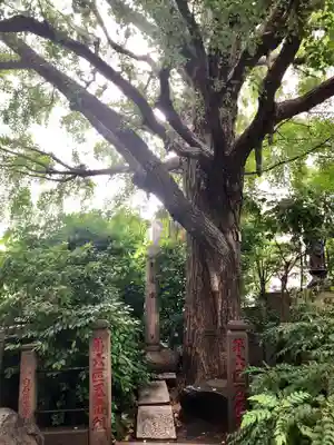 回向院のその他建物