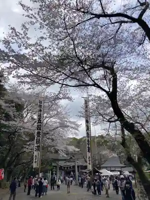 日枝神社の自然