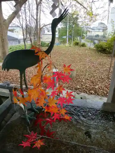 釧路一之宮 厳島神社の手水