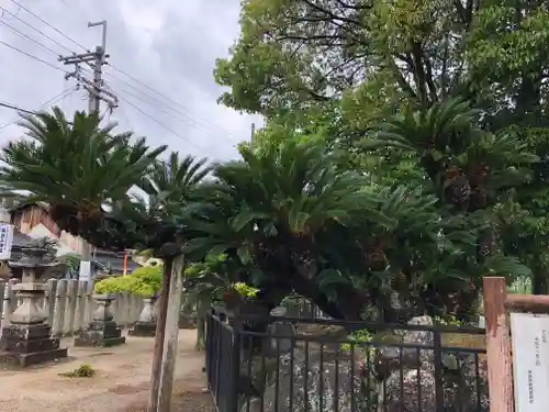 龍田神社の庭園