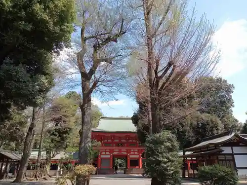 井草八幡宮(東京都)