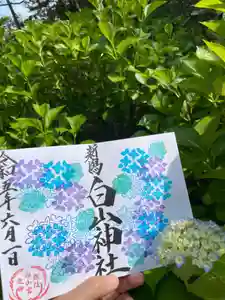 白山神社の御朱印 2023年06月01日(木)〜(2023年05月27日(土) 17時02分52秒投稿)