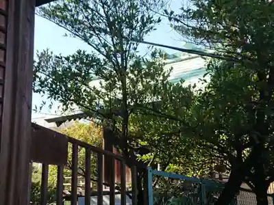 神明神社のその他建物