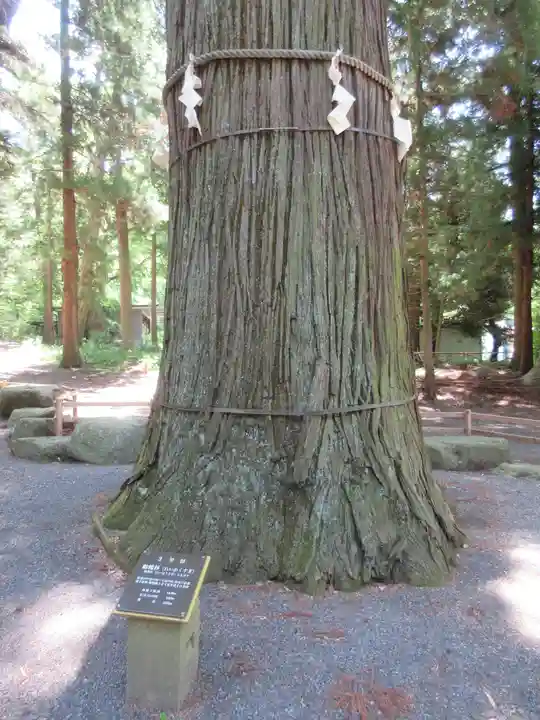 河口浅間神社のその他建物