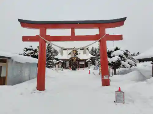 美瑛神社(北海道)