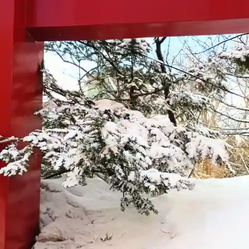 彌彦神社　(伊夜日子神社)の自然
