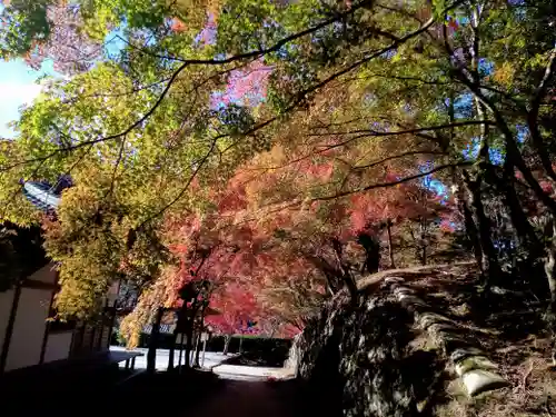 神峯山寺(大阪府)